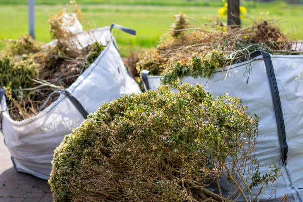 Best Trash Removal Near Me  in Sissonville, WV
